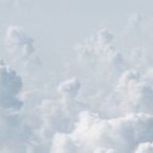 Meet your Posher, Yum